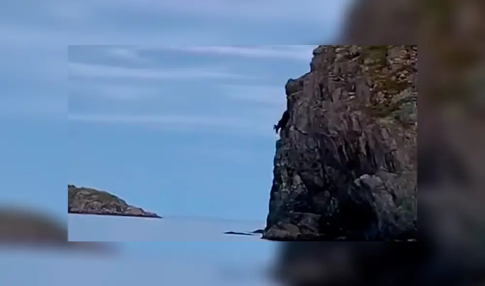 El alce tomó la radical decisión de lanzarse al acantilado frente a la mirada de unos jóvenes. Foto: captura El alce tomó la radical decisión de lanzarse al acantilado frente a la mirada de unos jóvenes. Foto: captura