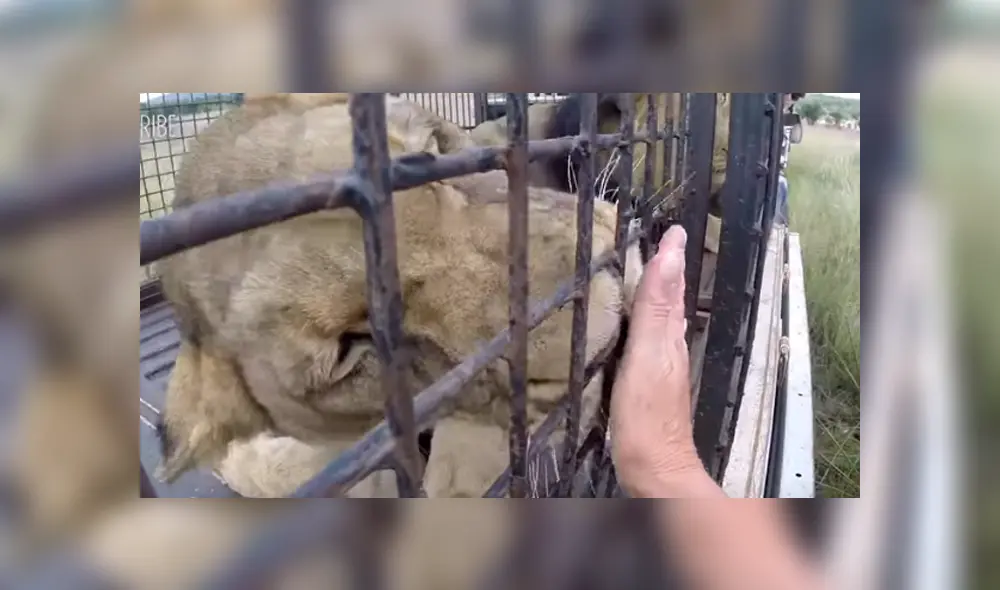 Desliza hacia la izquierda para ver el conmovedor reencuentro que se hizo viral en YouTube. Desliza hacia la izquierda para ver el conmovedor reencuentro que se hizo viral en YouTube.