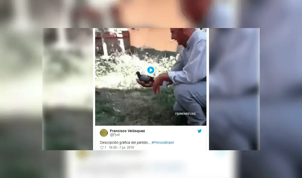 Chilenos crearon memes virales tras derrota peruana. Foto: Internet