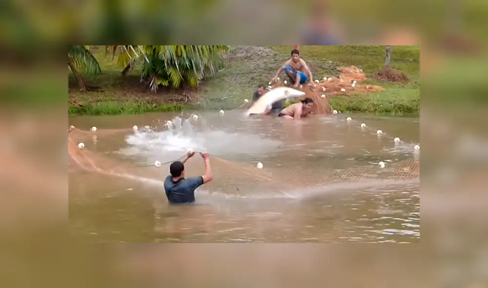 YouTube viral: Entran a pescar y quedan en shock al ver extrañas criaturas en su red [VIDEO]