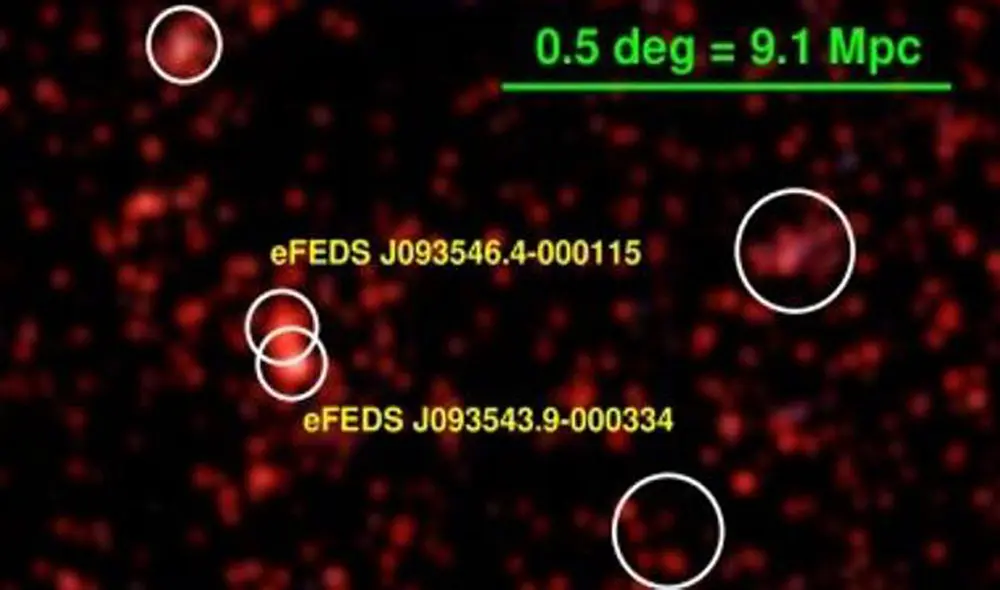 En los círculos de blancos se aprecian los cúmulos que componen la gran estructura hallada | Foto: Ghirardini et al., 2020
