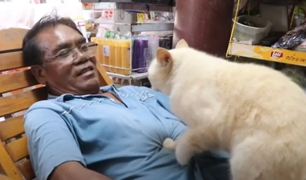 Desliza las imágenes para ver más sobre este tierno felino que da masajes a su dueño cuando llega de trabajar. Foto: captura de YouTube