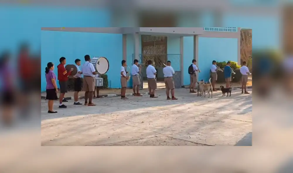 Vía Facebook. Perros callejeros protagonizaron una insólita escena durante la formación escolar de una institución educativa