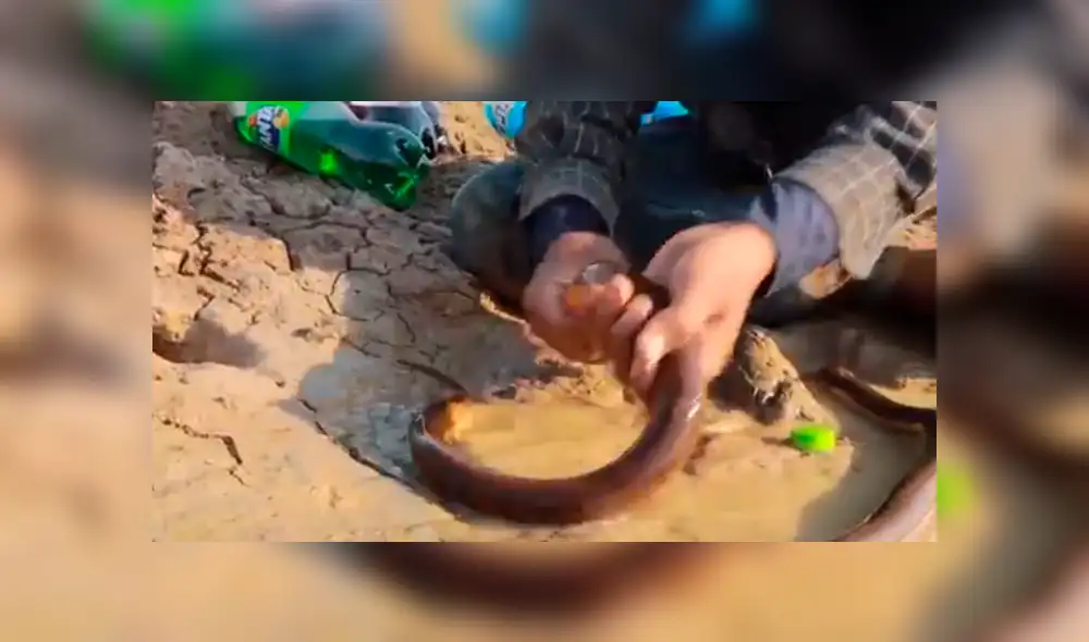 Desliza hacia la izquierda para ver el hallazgo que hizo un pensado y se hizo viral en YouTube.