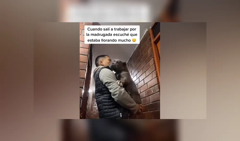 Desliza hacia la izquierda para ver las imágenes del viral de Facebook. Foto: Captura. Desliza hacia la izquierda para ver las imágenes del viral de Facebook. Foto: Captura.