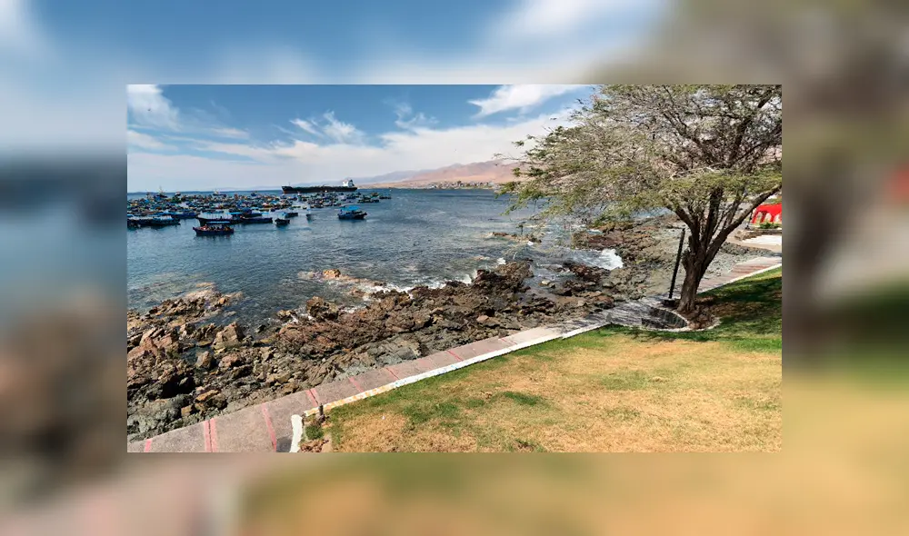 Google Maps: 'Extraña sirena' es hallada en orilla del mar de Moquegua y deja en impactado a miles [FOTOS]