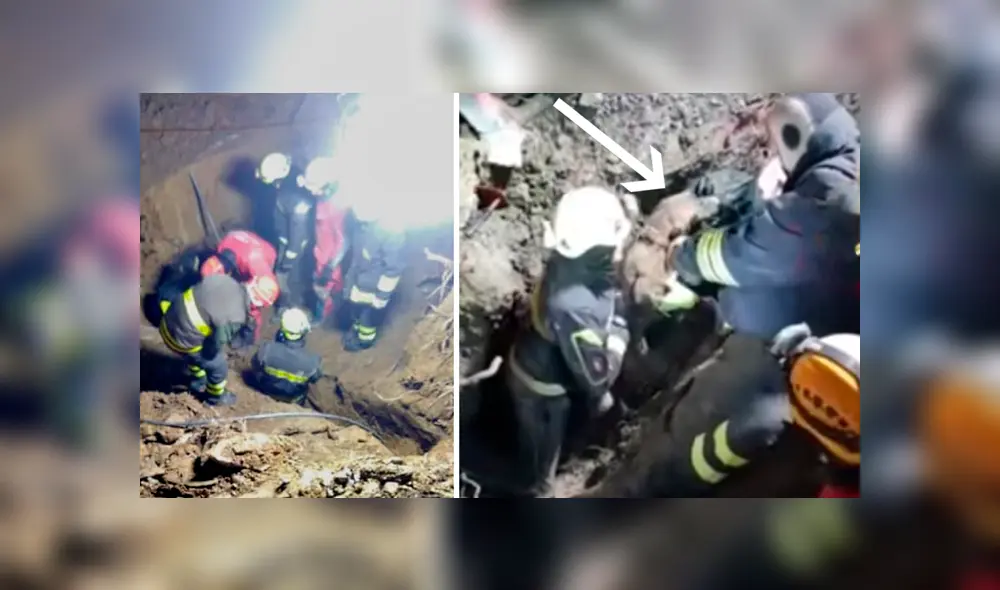 Desliza hacia la izquierda para ver el conmovedor rescate de los perros que se viralizó en Facebook.