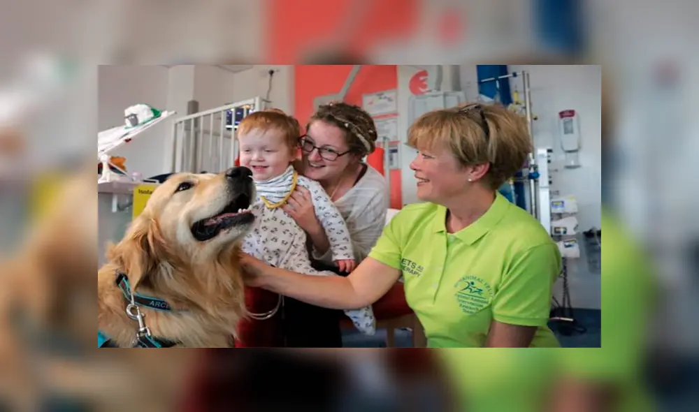 Los "dog-tors" también visitan a sus pacientes a fin de sacarles una sonrisa. Foto: SCH Therapy Dogs/Facebook