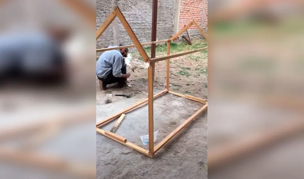 Desliza las imágenes para conocer el noble gesto de una pareja tras acoger en casa a unos tres perros callejeros. Foto: captura de TikTok