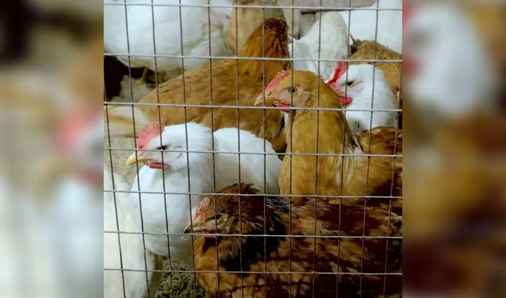 . Foto: referencial/65ymás.com