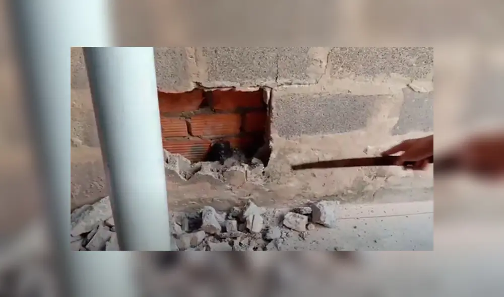 Desliza hacia la izquierda para ver el conmovedor rescate que se hizo viral en Facebook. Video: Captura. Desliza hacia la izquierda para ver el conmovedor rescate que se hizo viral en Facebook. Video: Captura.