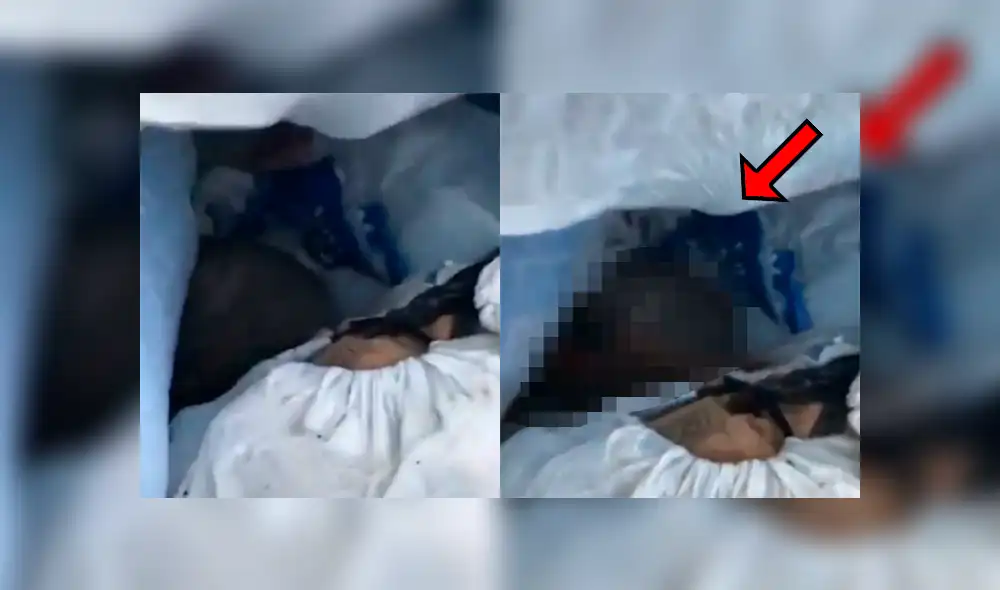 Una insólita grabación muestra a una extraña criatura saliendo despavorida de un bote de basura. Una insólita grabación muestra a una extraña criatura saliendo despavorida de un bote de basura.