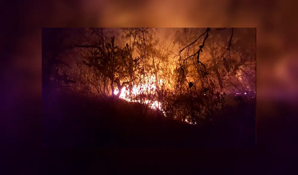 Cerro del Chiquihuite: así se vio el incendio forestal en Ciudad de México [FOTOS y VIDEO]