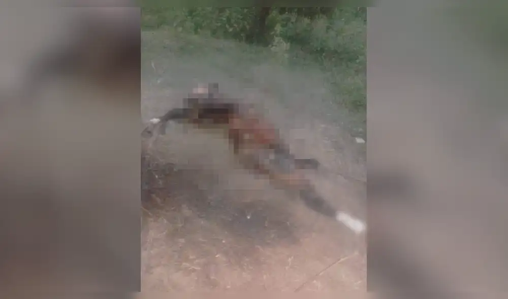 Piura: matan y calcinan a caballo de humilde agricultor
