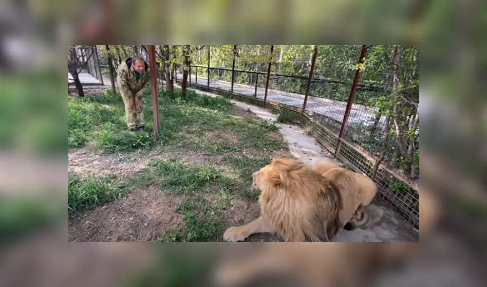 Desliza hacia la izquierda para ver las imágenes del viral de Facebook. Desliza hacia la izquierda para ver las imágenes del viral de Facebook.