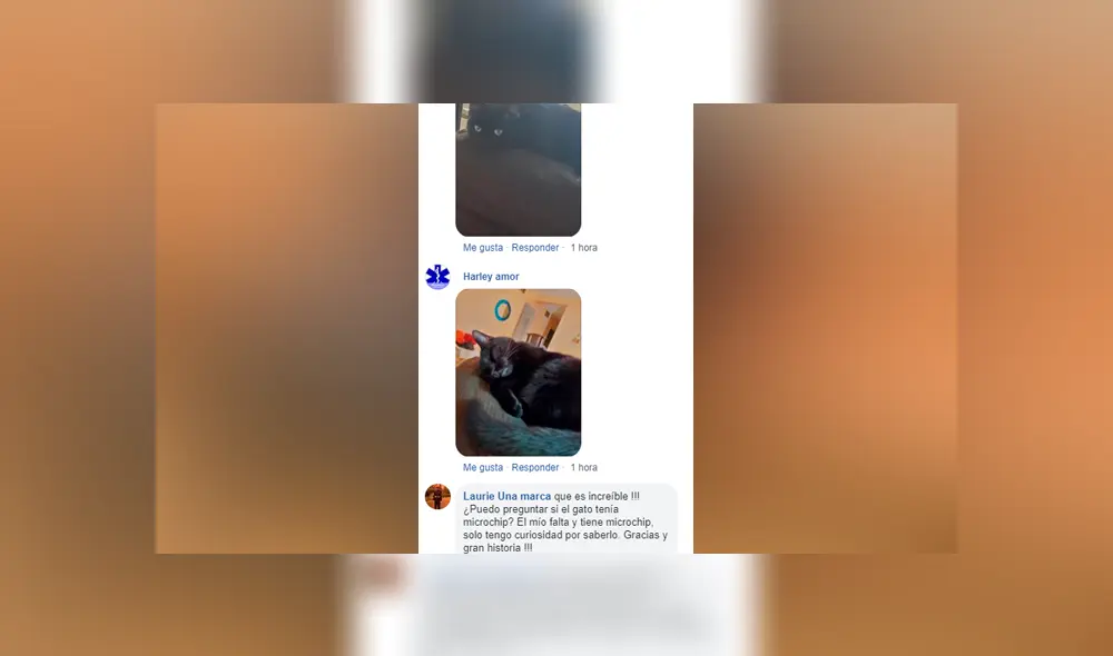 Desliza las imágenes para ver el emotivo reencuentro de este hombre con su amada mascota y las reacciones en redes sociales. Fotocapturas: Bangor Humane Society/Facebook