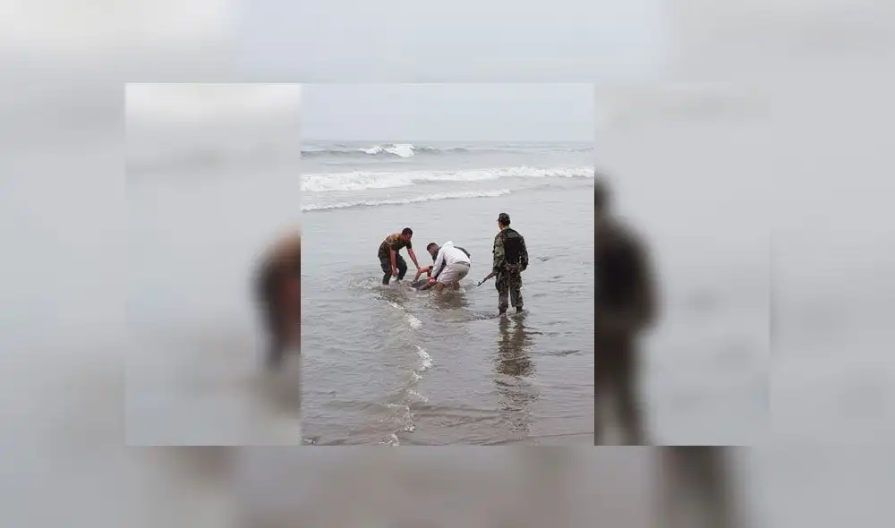 Efectivos policiales salvan a mujer que intentó ahogarse. Créditos: Difusión. Efectivos policiales salvan a mujer que intentó ahogarse. Créditos: Difusión.