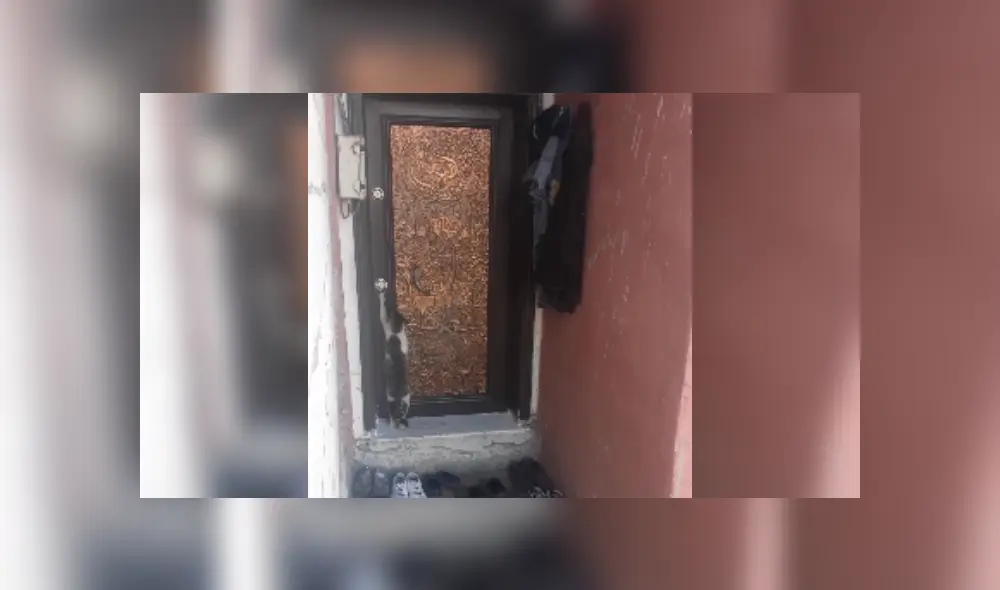 Desliza las imágenes para ver más detalles de esta escena que es viral en YouTube.