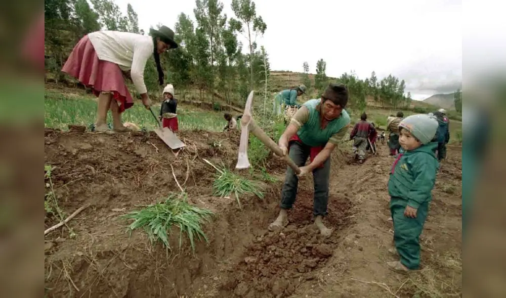En foro analizan subsidio del seguro agrícola parala pequeña agricultura