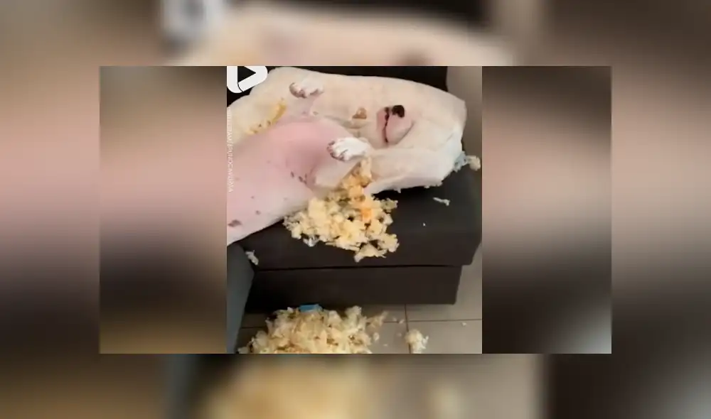 Desliza para ver los momentos más divertidos del video que se hizo viral en Facebook.