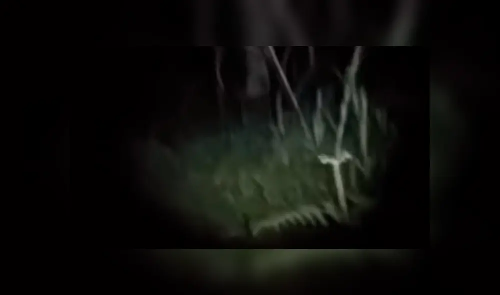 Jóvenes youtubers ingresan a bosque de madrugada y se topan con aterradora criatura. Jóvenes youtubers ingresan a bosque de madrugada y se topan con aterradora criatura.