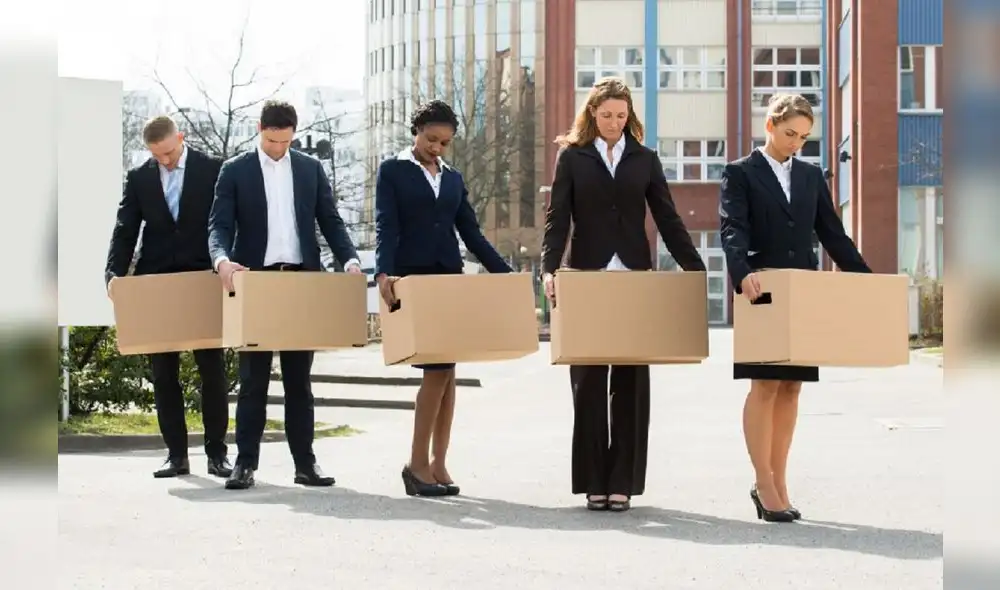 rotación de personal rotación de personal