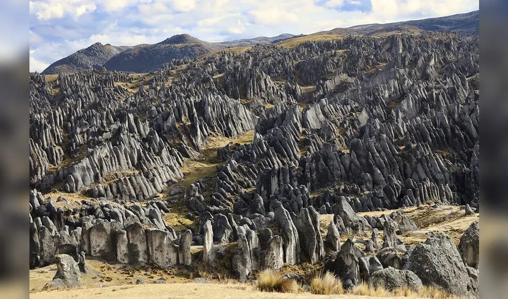 Bosque de piedra. El “laberinto” pétreo de Jaylluwa, en el distrito de Corani. Foto: archivo Bosque de piedra. El “laberinto” pétreo de Jaylluwa, en el distrito de Corani. Foto: archivo