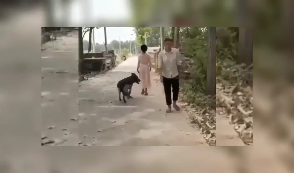 Desliza hacia la izquierda para ver más del video viral. Fotocaptura: Twitter Desliza hacia la izquierda para ver más del video viral. Fotocaptura: Twitter