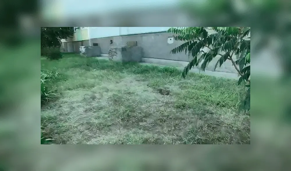 Niño muere tras arrojarse de un noveno piso para evitar golpes de sus padres