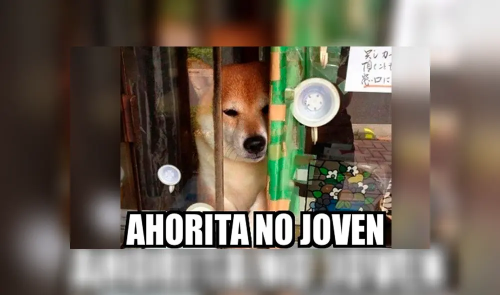 El meme ‘me dijiste que tenías’ revive otras divertidas imágenes en las redes sociales El meme ‘me dijiste que tenías’ revive otras divertidas imágenes en las redes sociales