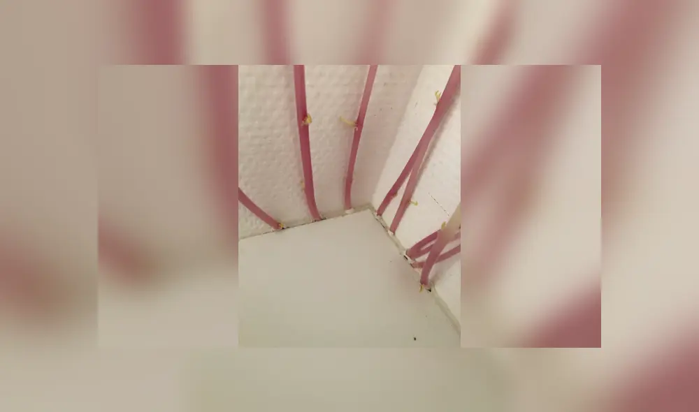 Desliza la imagen de Facebook para verlas todas. Foto: donna9p/Twitter