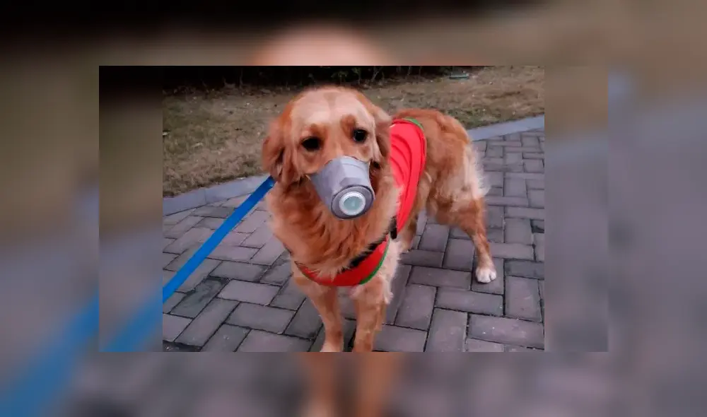 Desliza a la izquierda para ver el viral de Facebook. Desliza a la izquierda para ver el viral de Facebook.