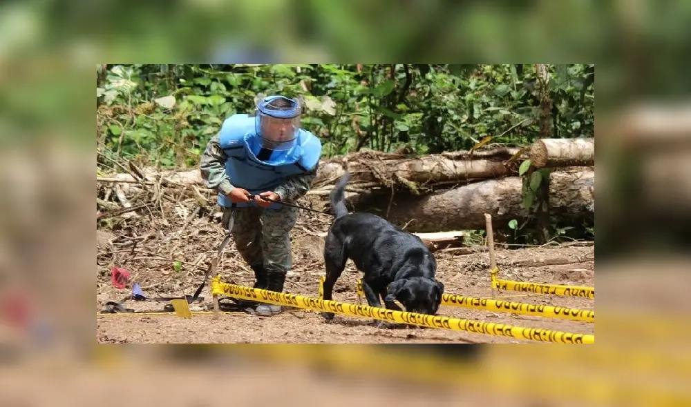 Brazilian President Jair Bolsonaro waves as he takes a ride and has his motorcycle's engine overhaul after he announced he tested negative for COVID-19 more than two weeks after being diagnosed, in Brasilia, on July 25, 2020, during the novel coronavirus pandemic. (Photo by Sergio LIMA / AFP)