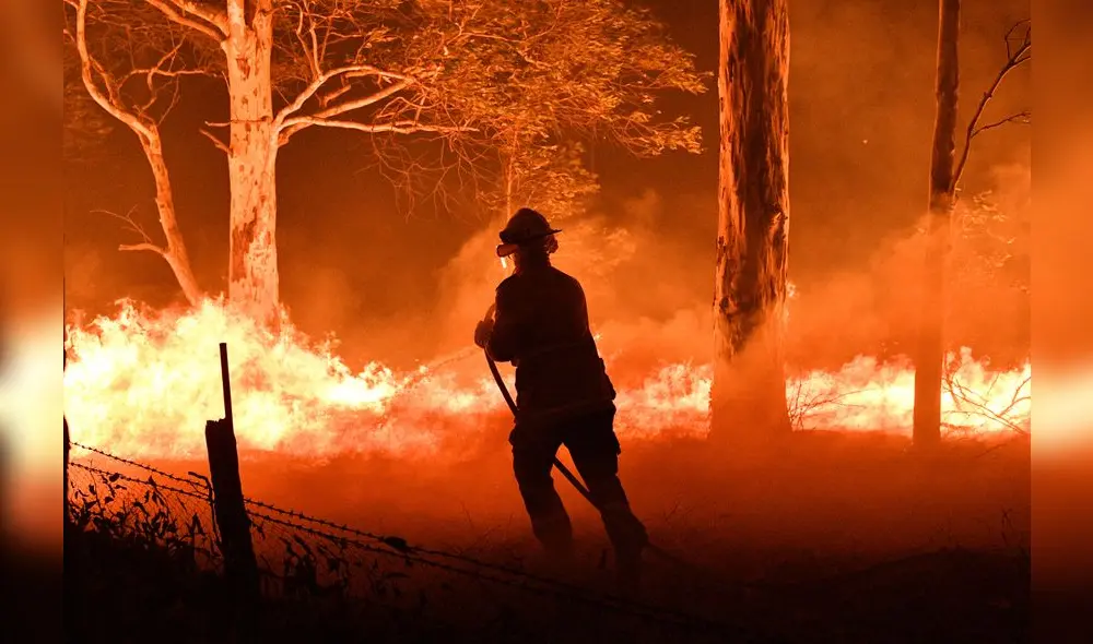 This picture taken on December 31, 2019 shows a firefighter hosing down trees and flying embers in an effort to secure nearby houses from bushfires near the town of Nowra in the Australian state of New South Wales. - Fire-ravaged Australia has launched a major operation to reach thousands of people stranded in seaside towns after deadly bushfires ripped through popular tourist areas on New Year's Eve. (Photo by SAEED KHAN / AFP)