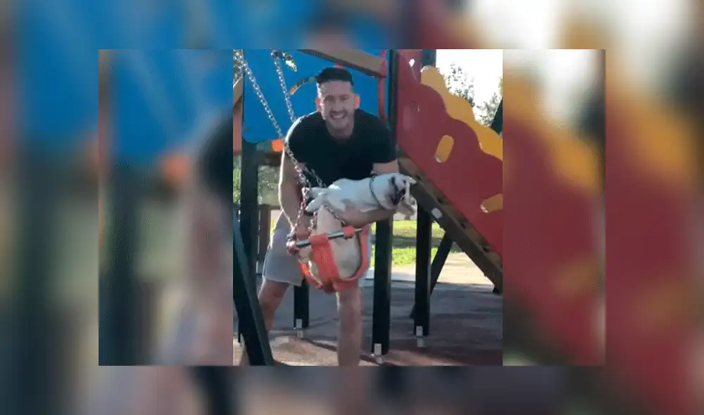 Perro España Perro España