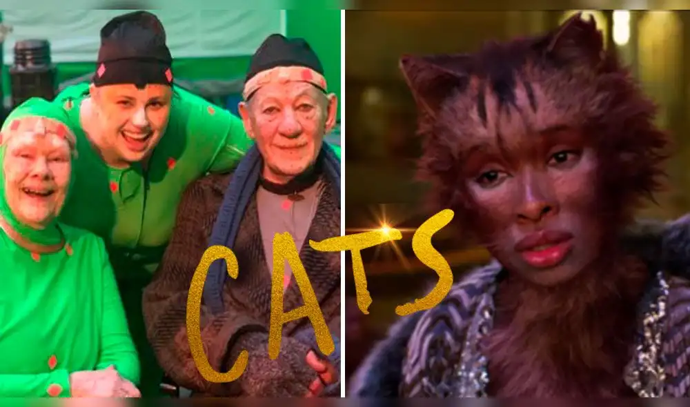 Cats llegará a cines el próximo 9 de enero. Foto: Difusión