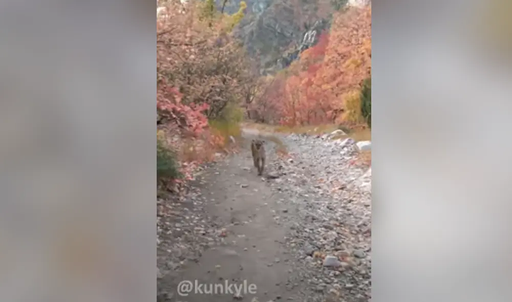 Desliza hacia la izquierda para ver las imágenes del video viral. Foto: Captura de Facebook. Desliza hacia la izquierda para ver las imágenes del video viral. Foto: Captura de Facebook.