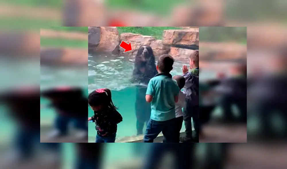 Facebook viral: niños juegan frente de enorme oso, sin imaginar que depredador haría lo impensado [VIDEO] 