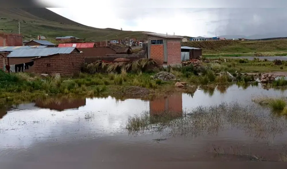Desbordes de ríos inundan casas y sembríos en Puno. Desbordes de ríos inundan casas y sembríos en Puno.