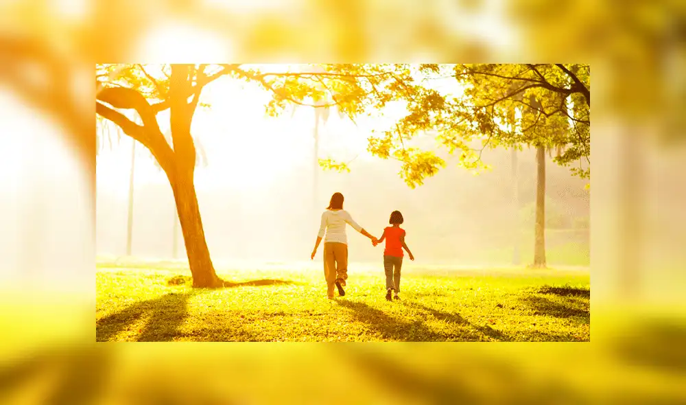 ¿Por qué se celebra el Día Mundial del Medio Ambiente el 5 de junio y cuál es su importancia? ¿Por qué se celebra el Día Mundial del Medio Ambiente el 5 de junio y cuál es su importancia?