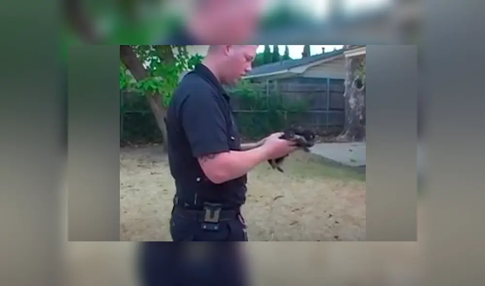 Desliza hacia la izquierda para ver el conmovedor rescate que se viralizó en Facebook.