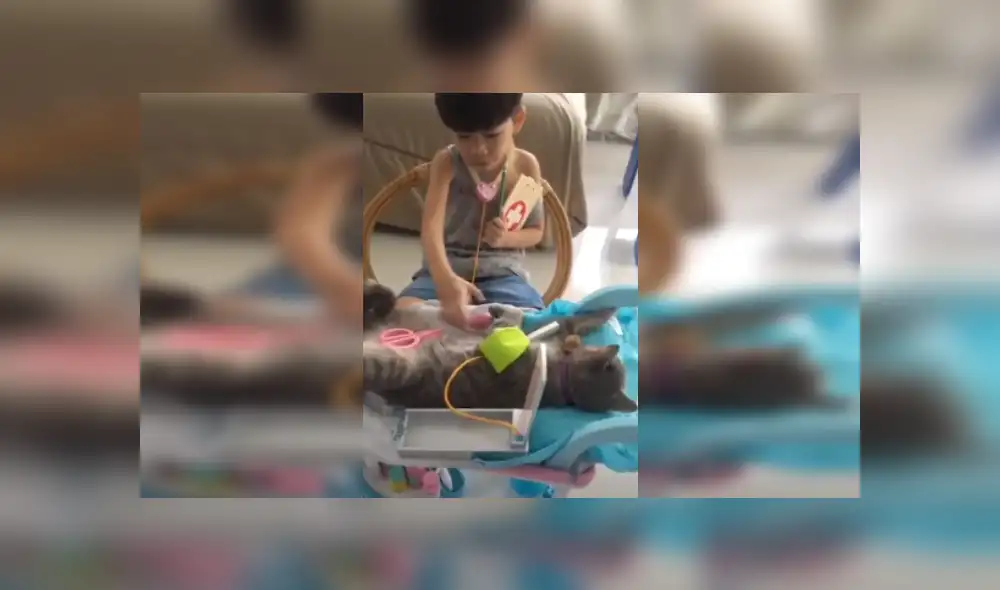 Desliza las imágenes para ver más detalles de esta tierna escena que es viral en YouTube. (Foto: captura)