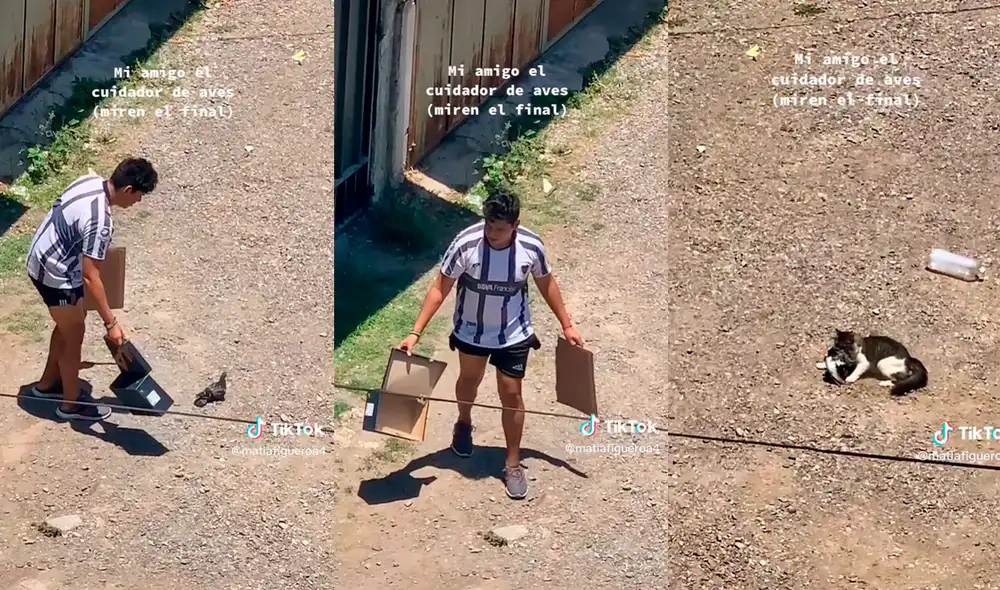 La hilarante escena impresionó a miles de internautas. Foto: captura de TikTok / @matiafigueroa4 La hilarante escena impresionó a miles de internautas. Foto: captura de TikTok / @matiafigueroa4