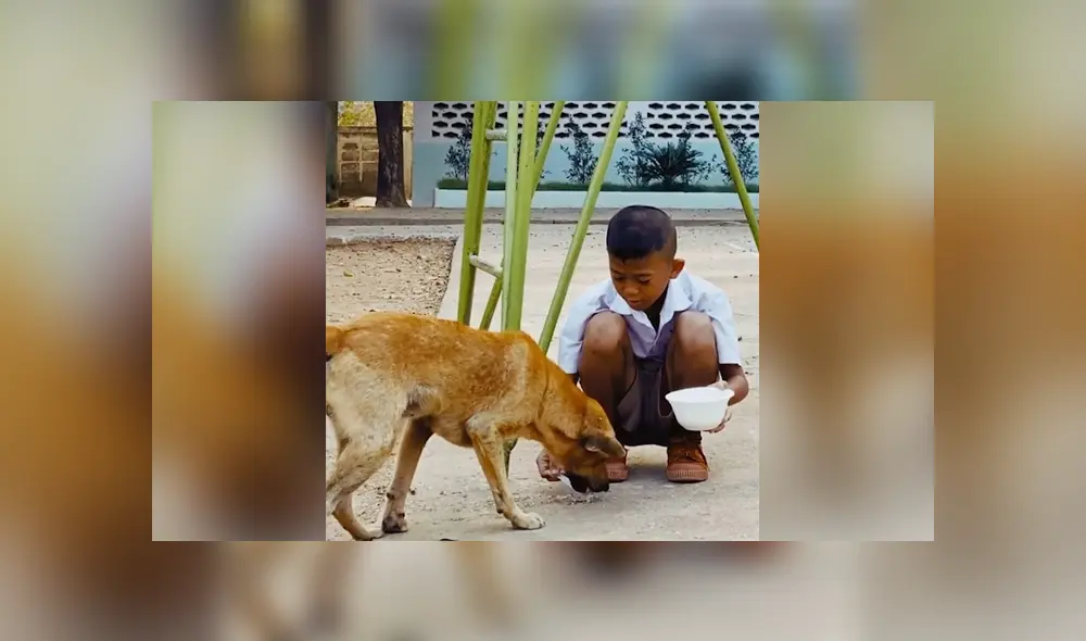 Desliza para ver los detalles del video viral publicado en Facebook. Foto: Captura. Desliza para ver los detalles del video viral publicado en Facebook. Foto: Captura.