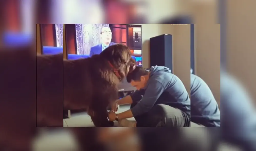 Desliza hacia la izquierda para ver más del video viral