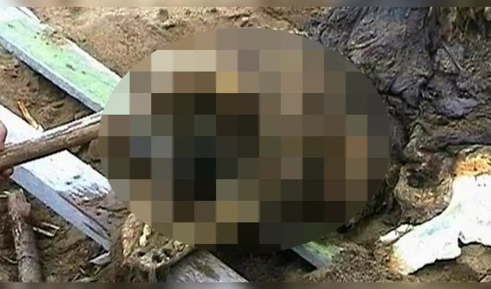 Facebook viral: afirman haber encontrado ‘monstruo marino’ en playa de Rusia [FOTOS]