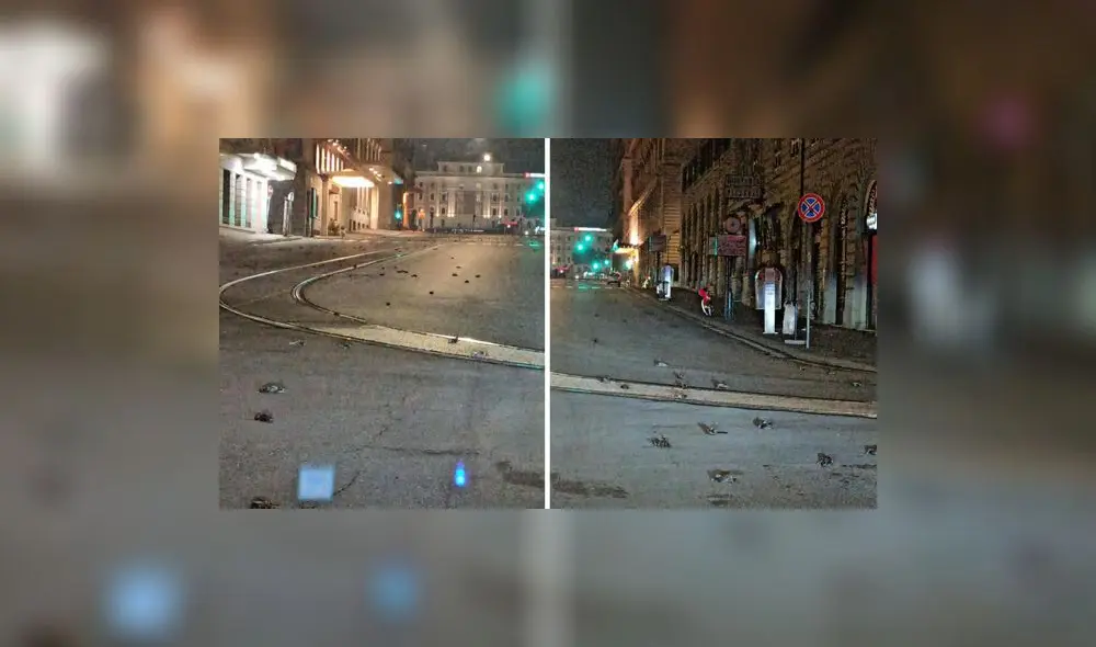 Foto: Captura de Twitter