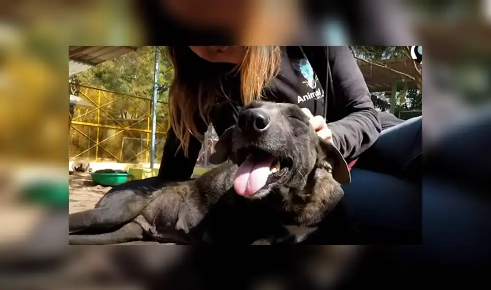 Desliza hacia la izquierda para ver las imágenes del viral de Facebook. Foto: Captura. Desliza hacia la izquierda para ver las imágenes del viral de Facebook. Foto: Captura.