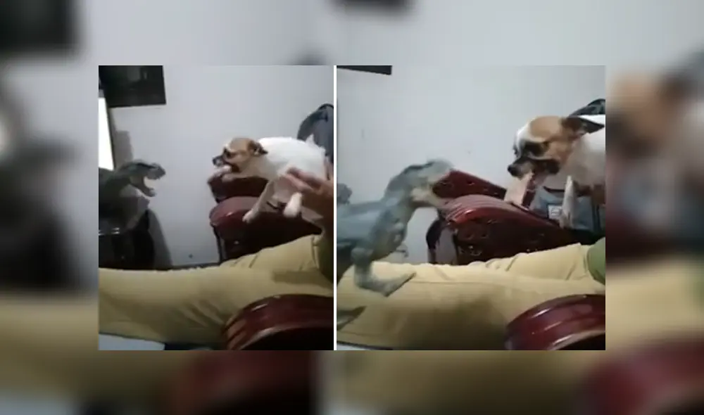 Desliza hacia la izquierda para ver las imágenes del viral de YouTube. Foto: Captura.