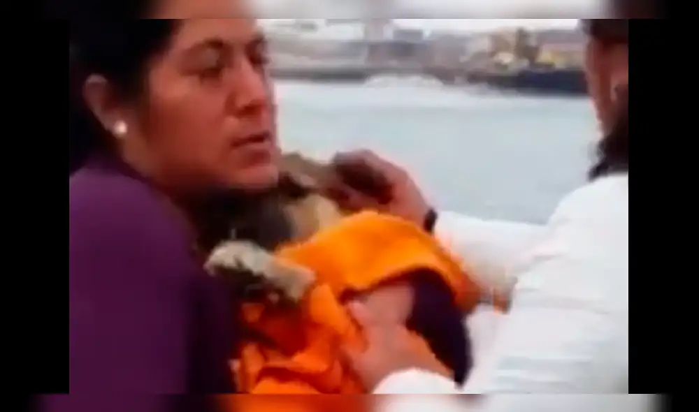 Facebook: Indignante, sujetos intentaron sacrificar a un perro callejero para alimentarse [VIDEO]